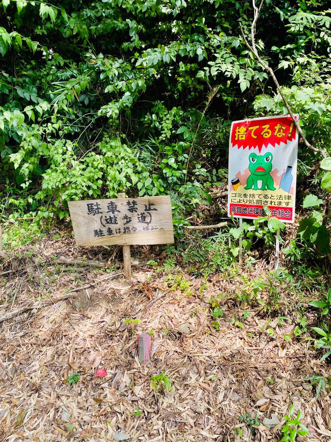 高舘山散策道入口-高舘山-館山堤-熊野那智神社 往復コースの写真