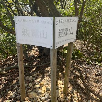 名古屋で2番目の標高か🙌