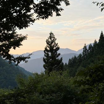 気温20℃は過ごし易いが、前日降った雨のせいか湿度が高めで汗ばんでくる。