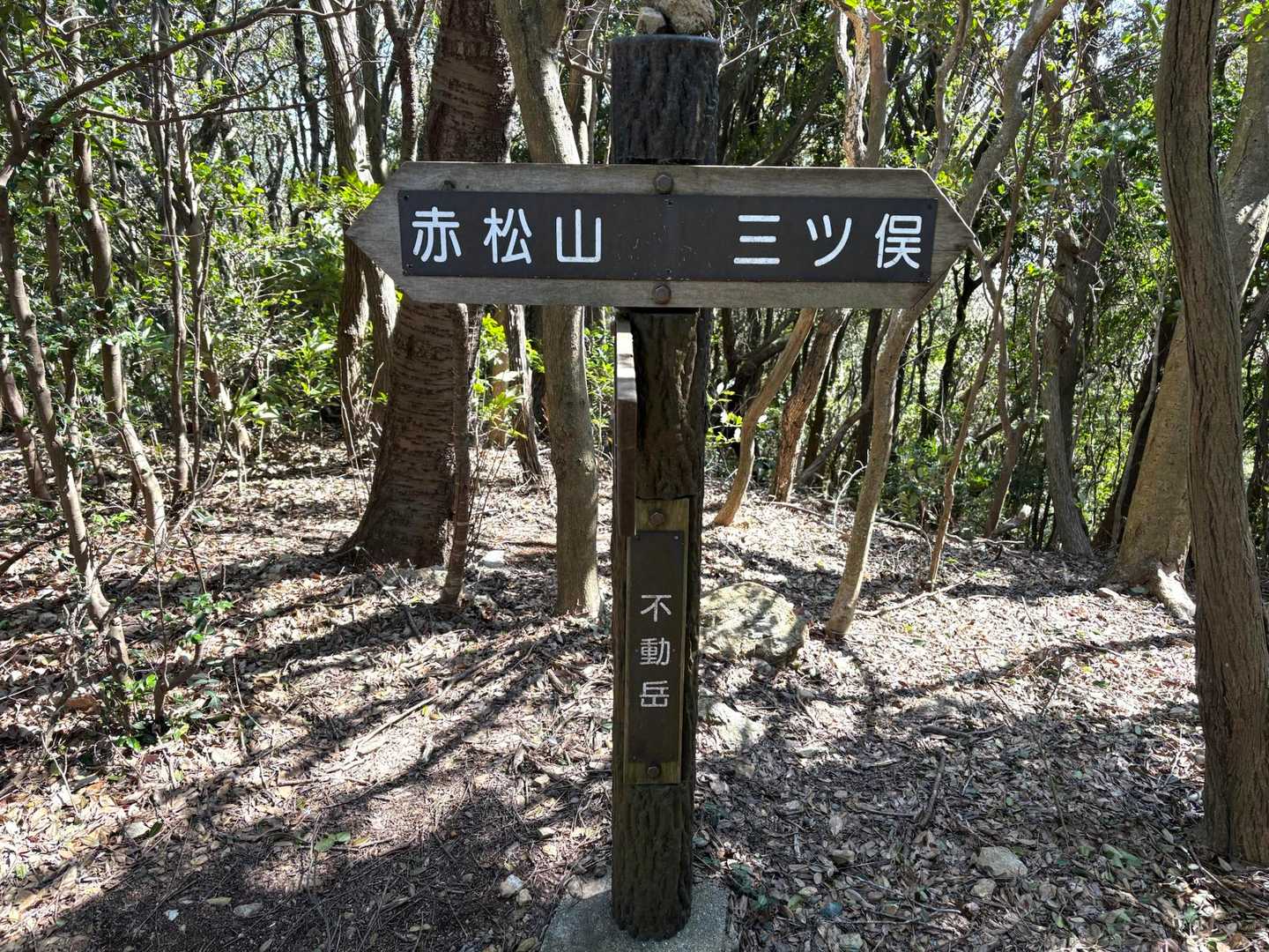 ❼不動岳
