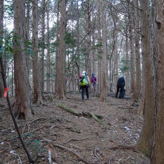 福王山山頂、眺望なし
