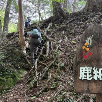 初っ端から急登