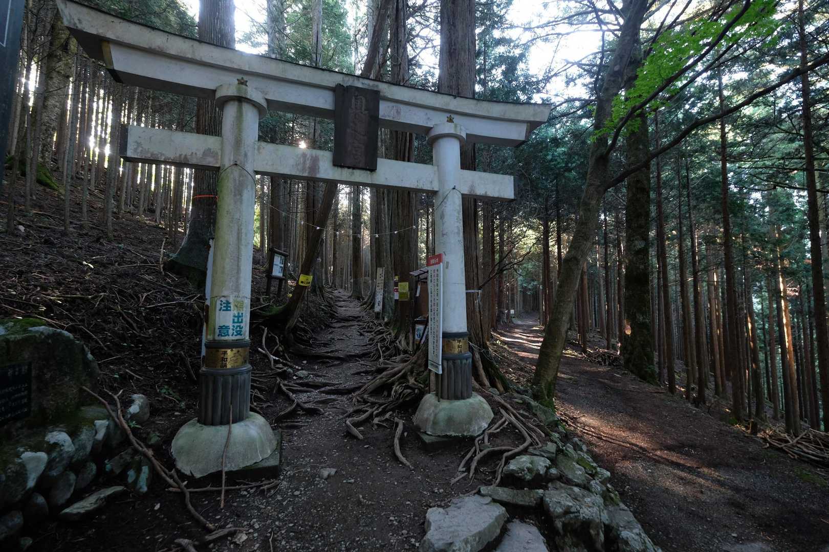 仕切り直しです。
ここをくぐって