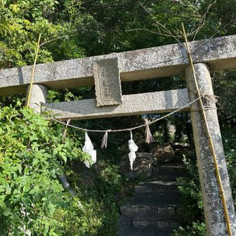 降りて来た。