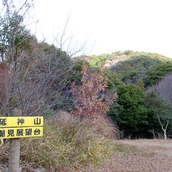 正面に御堂山