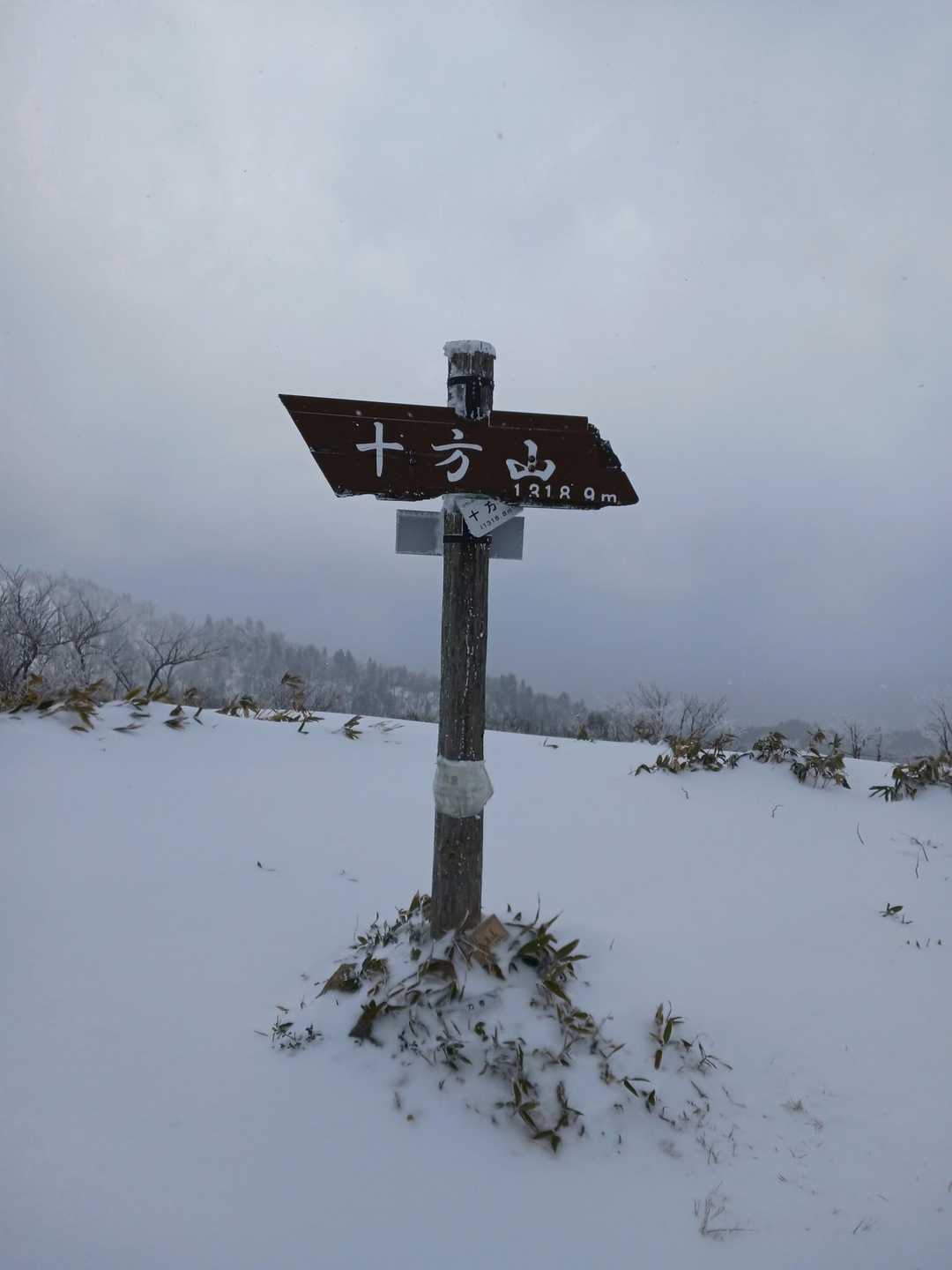 登頂
踏み跡もなくキレイ…
ただ吹雪いてるからめっちゃ寒い🥶