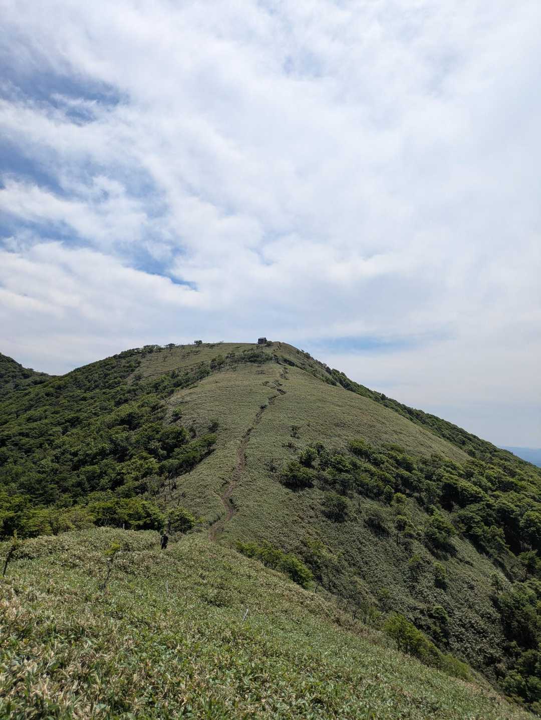 振り向けば
