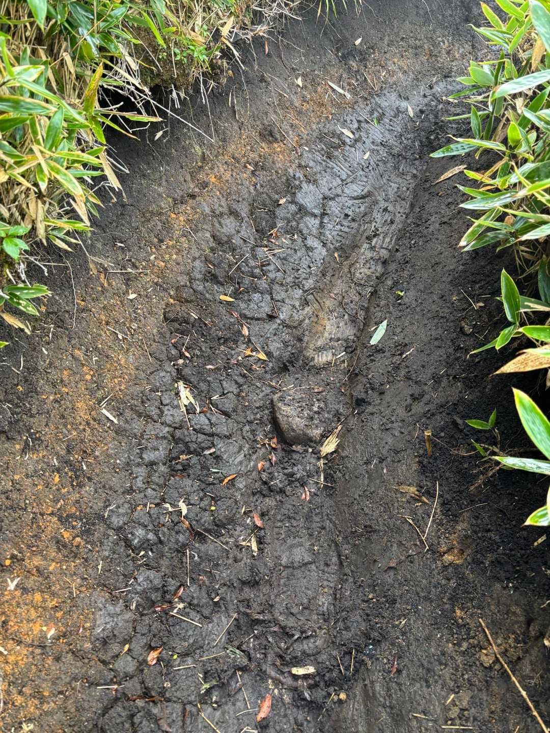 斜度があってくじゅう特有の黒土
滑る予感　でもセーフ‼︎ わりに滑るの下手なの