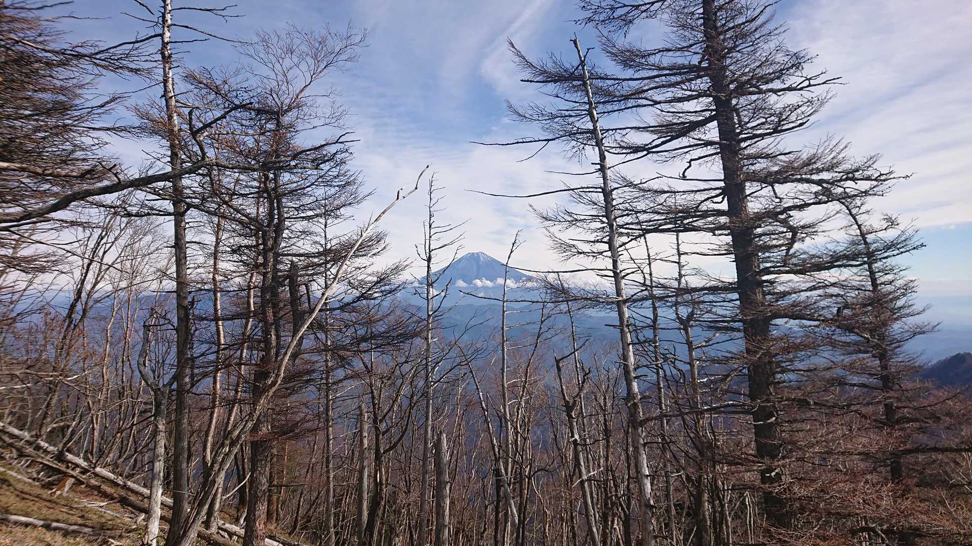 くどい🗻