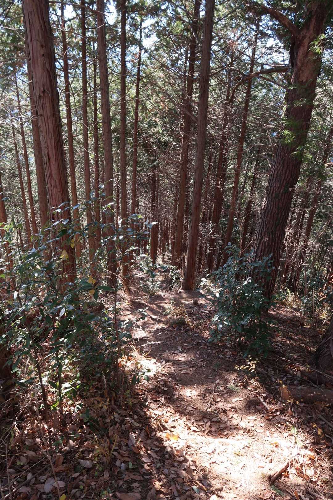ちょっと急坂