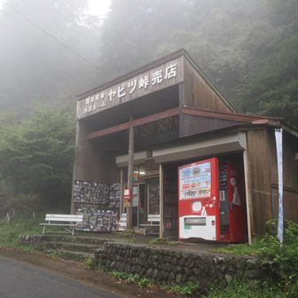 霧のヤビツ峠売店
販売機の補充でお忙しそうだったので、チラッと覗いて通り過ぎます