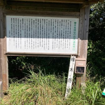 樺木山頂きました⛰️