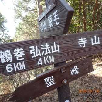 蓑毛を目指します