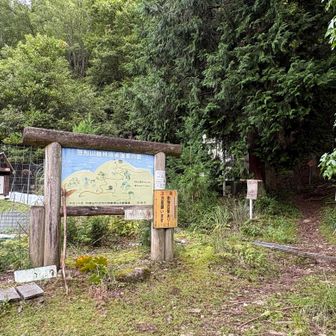 ようやく登山口に到着し、山道へ⛰️