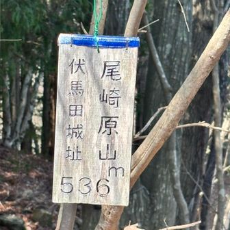 だいぶ奥まで歩いて到着🏯
尾崎原山（おざきっぱらやま）536m
