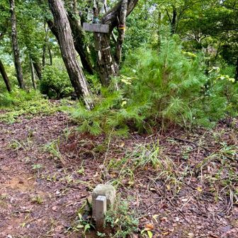 登り始めて、程なくして、岩崎山山頂に到着