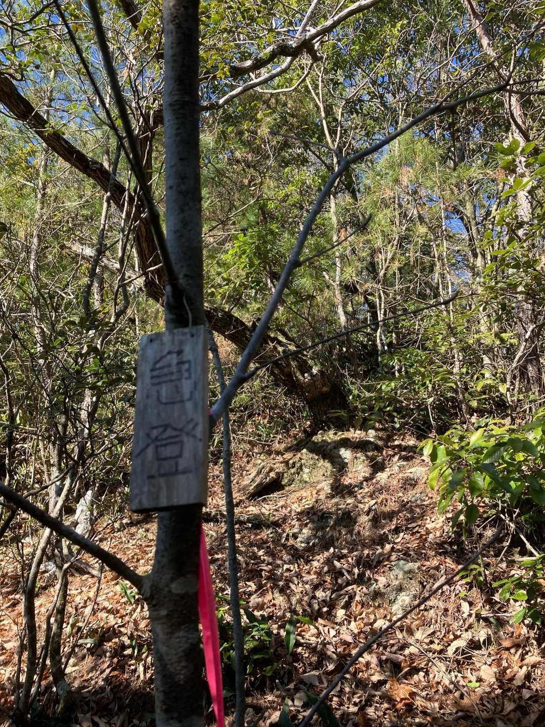 番場山 往復コースの写真