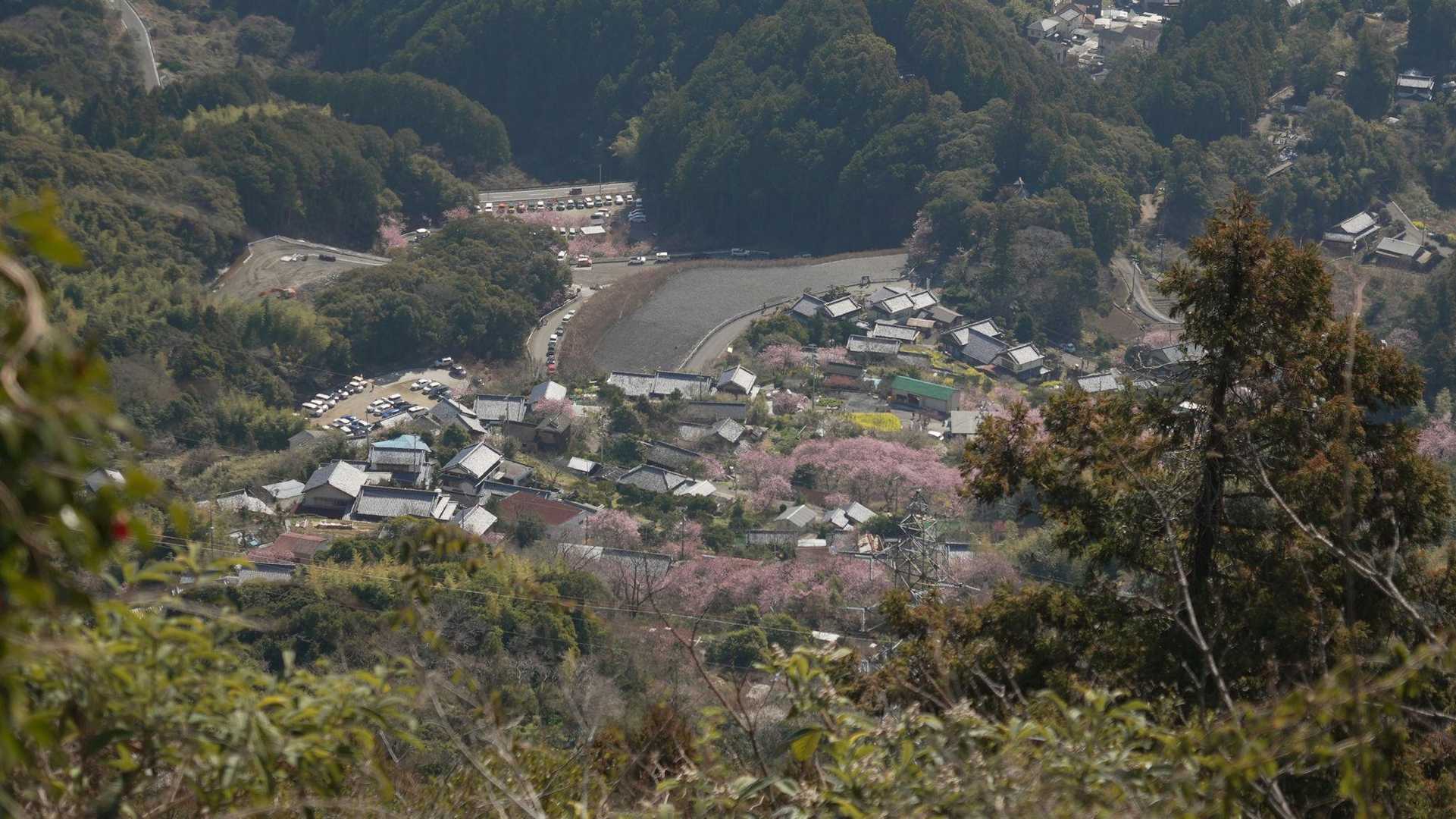 蟠蛇森 往復コースの写真