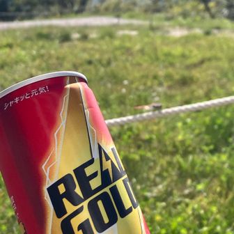 んーー

リアルゴールドにするか…
なかみは対して変わらないであろうw

後ろにトンボとまってるの見えます？