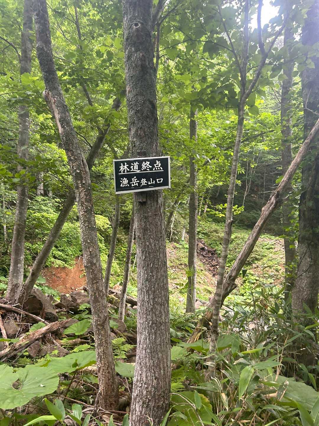 林道終点　
めちゃ長かった😩
そして暑かった🥵