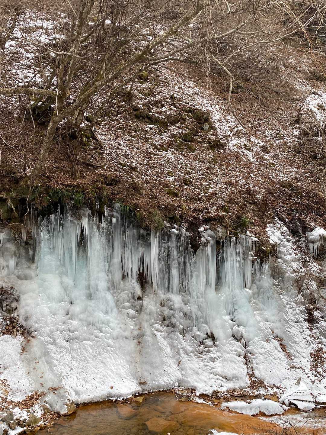旅館下の氷柱〜
宿泊者はお手軽に見れる😁