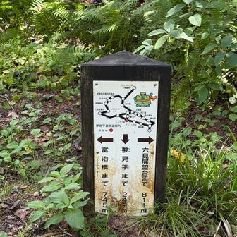 六見展望台までは行ってみよう