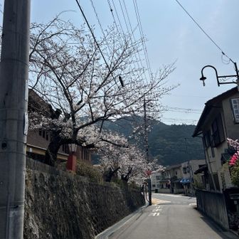 駅をでて、左に進む🚶‍♂️🚶‍♂️