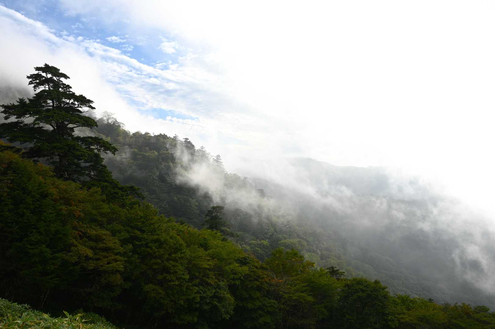 西島まで下りてきました。
相変わらずガスに覆われたり退いたりの繰り返しでした
晴れるとポカポカ暖かいので、ココでコーヒー休憩とします