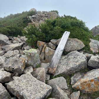 抜戸岳(ぬけどだけ)🪧
笠新道からの分岐にデポしてサクッと登頂