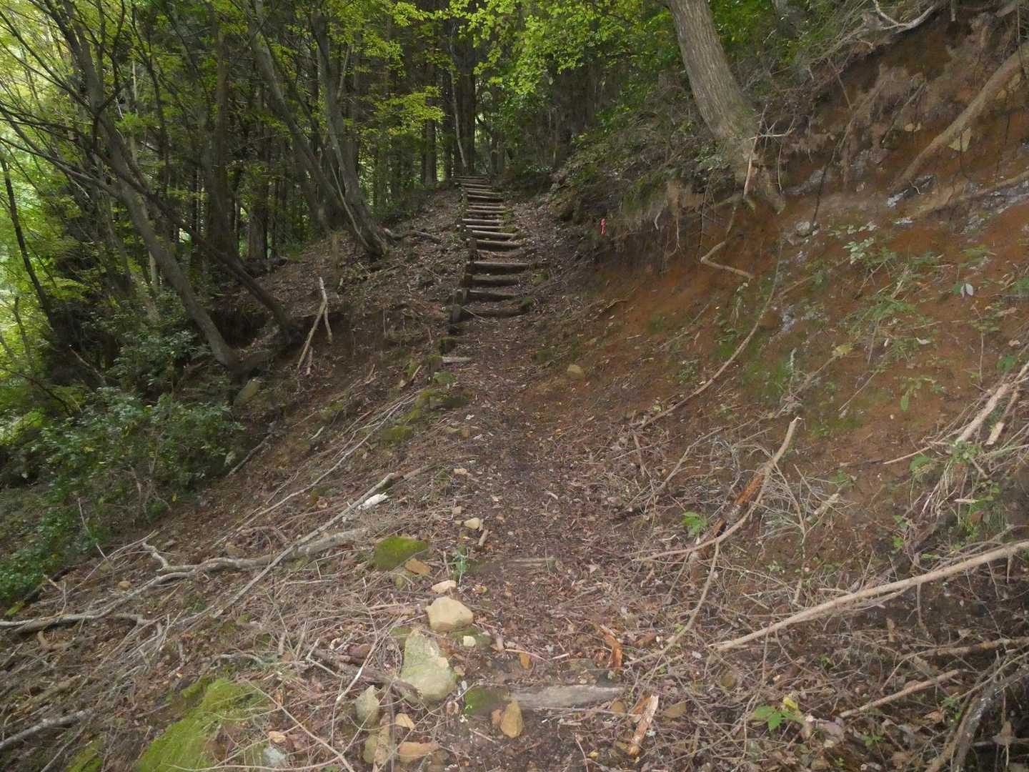 さあ頑張って登るぞ❗️😃