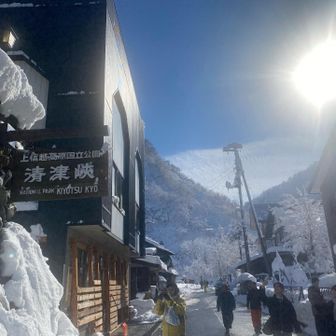 一見の価値はあるかな