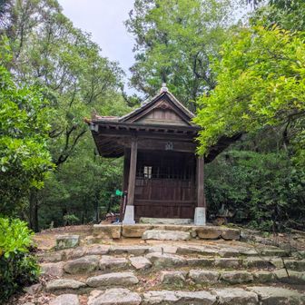 「高松神社⛩️」は火除けの神様なのだとか。おじゃましてまーーす🙏