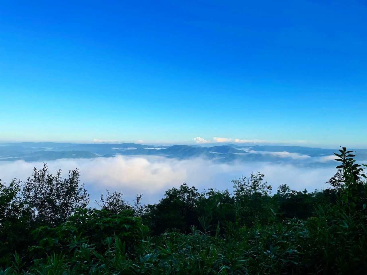 福山 往復コースの写真