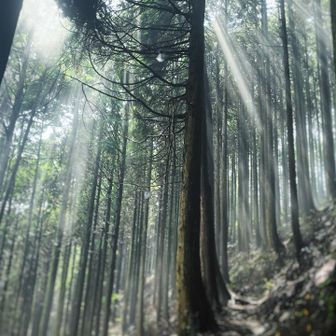 日差しがでて、霧も晴れてきました
少し光芒も見れました