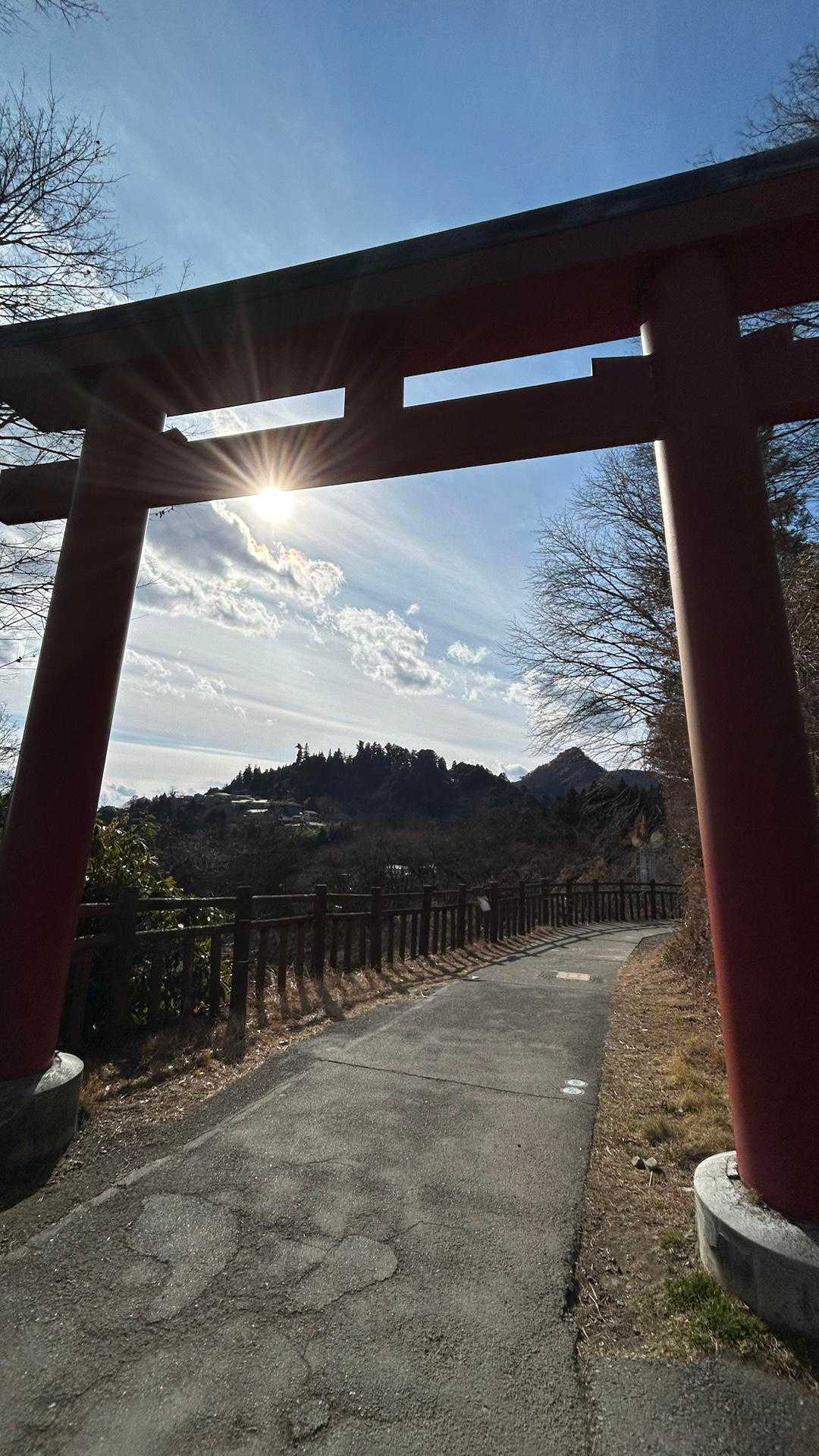 御岳山駅-日の出山 往復コースの写真