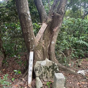 御手洗山と書いてあります