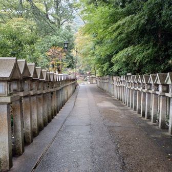 まずは、信貴山朝護孫子寺（ちょうごそんしじ）の参道を進みます…暑さ寒さの感じなく雨も然程気にならない。