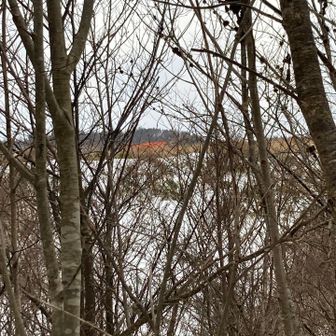 秋田空港 自衛隊建造物？（赤）