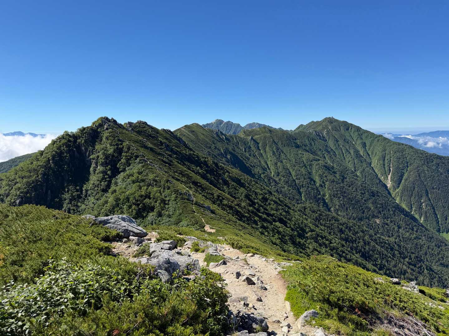 千畳敷駅-島田娘-濁沢大峰-檜尾岳 往復コースの写真