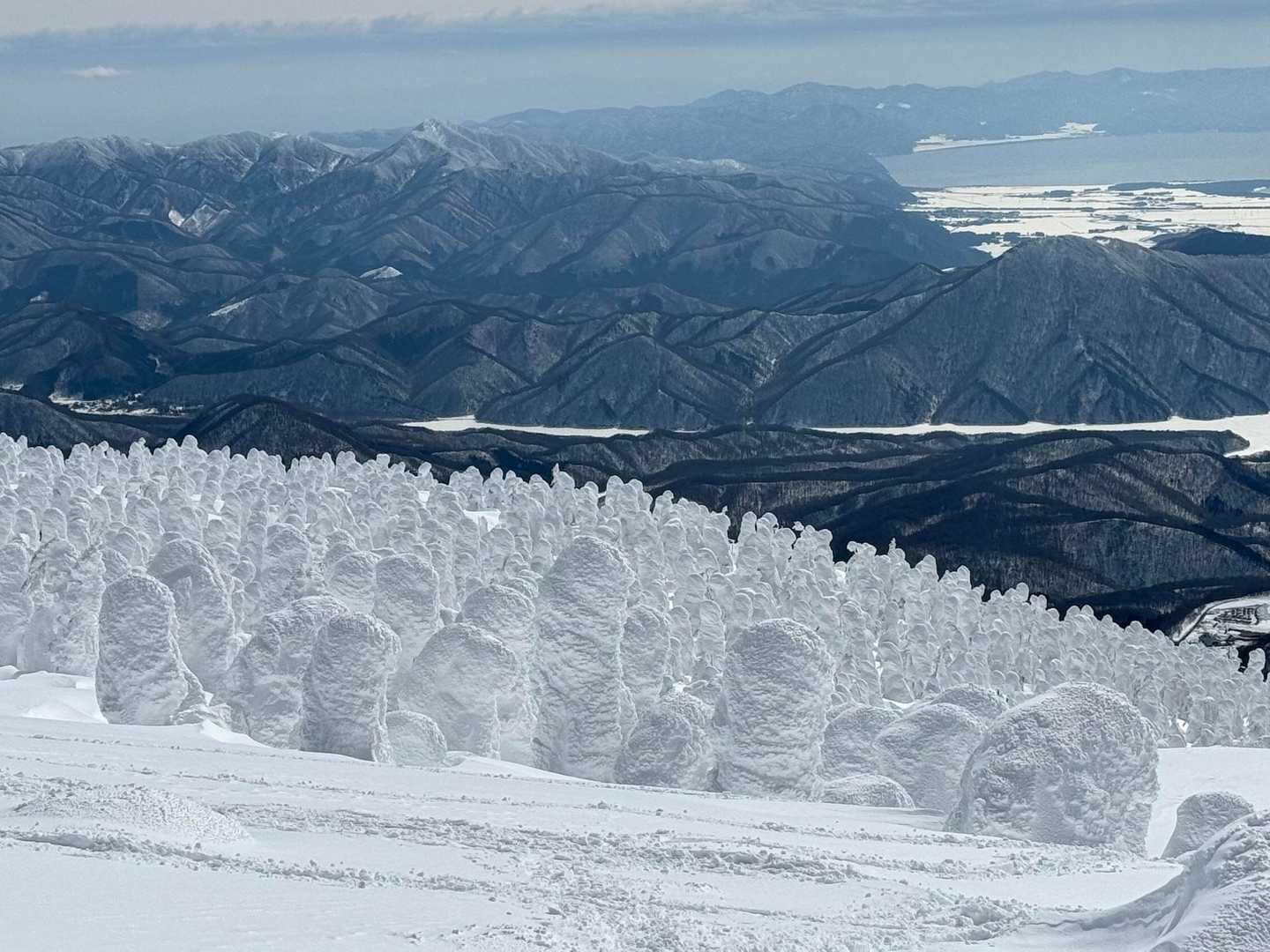 スノモンの大群
