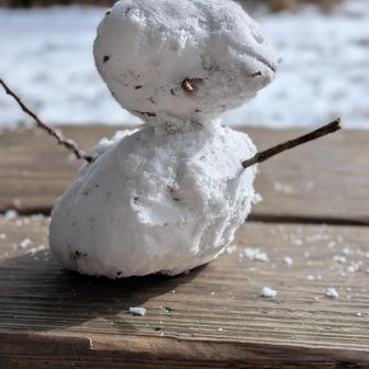 名前「モゲッティー」