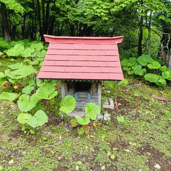 祠。養蚕の神様が祭られていたのでしょうか。