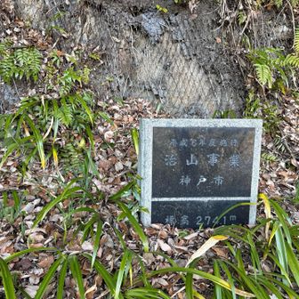 荒神山　取れるかな？
山に向かってスマホ振っとく！