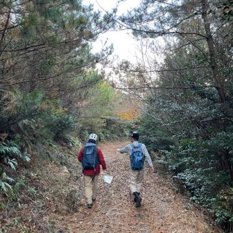 林道を歩いて下ります！