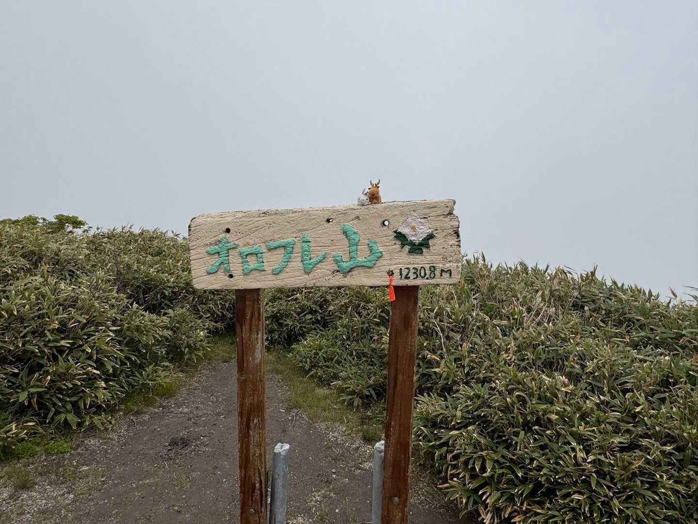 登頂🚩