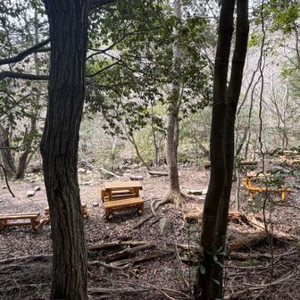 あちこちに休憩のベンチもあります