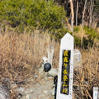 ("ᐕ)ﾉⓈⓉⒶⓇⓉ 