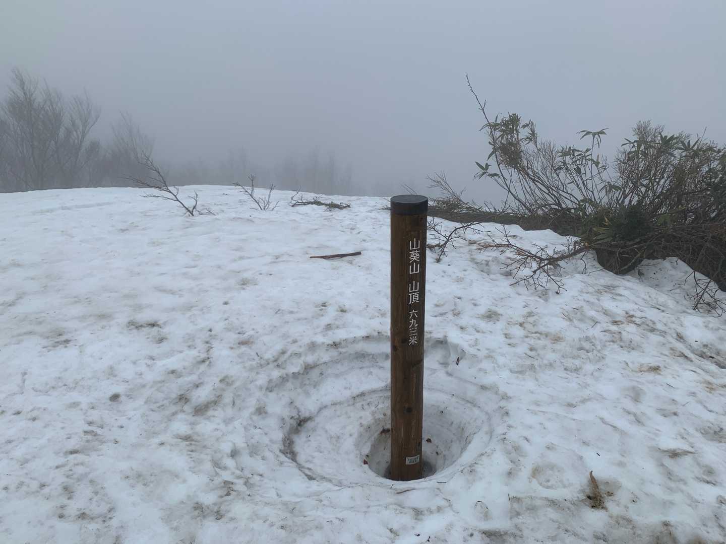 山葵山