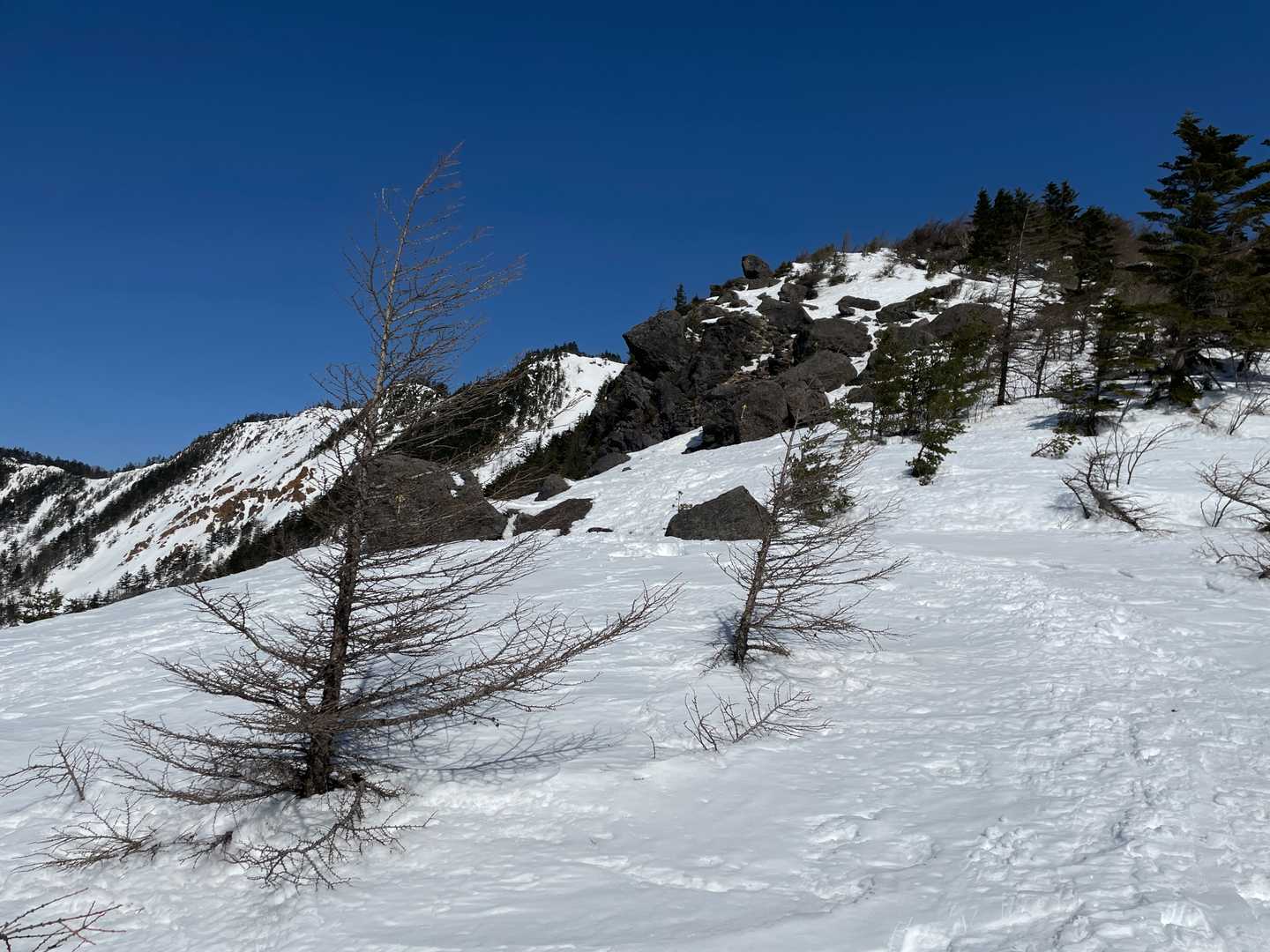 最近の気温が高かったせいか、春の雪だ。
しかし、まだ真っ白なのがうれしかった。