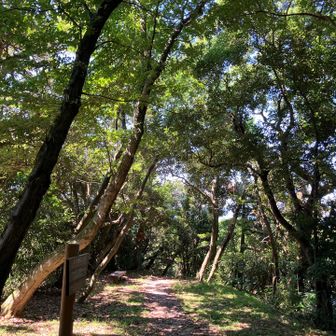 高祖山神社への道（未踏）
ここのベンチで休憩。